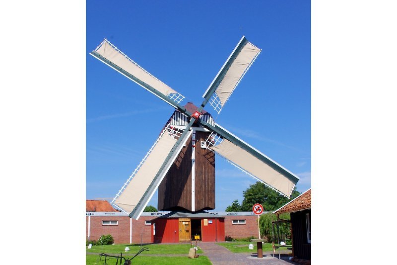 Windmühle Dornum