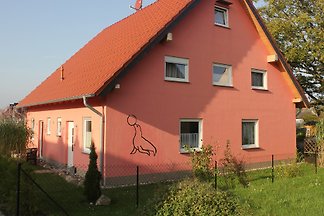 Ruegenrobbe II