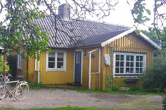 Mästocka