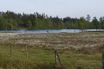 Nibogården
