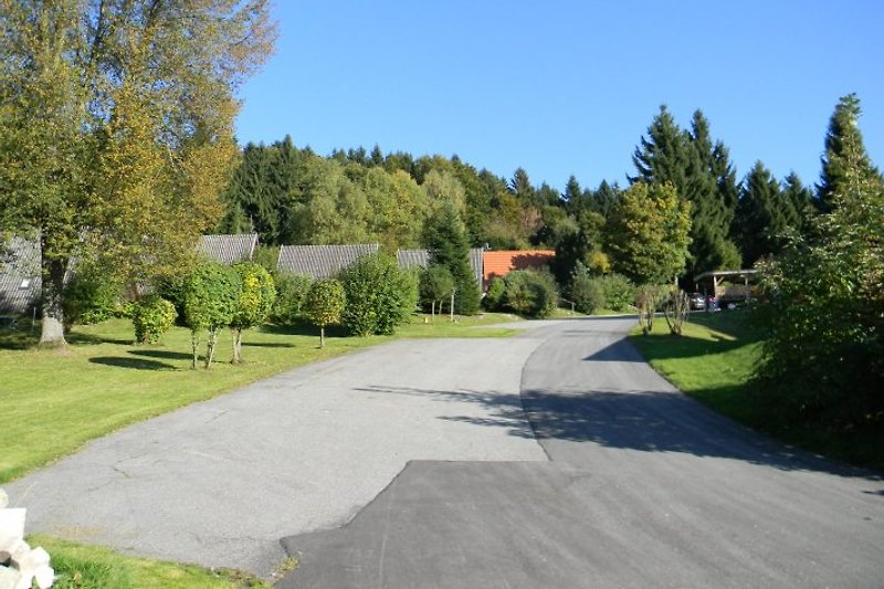 Driveway to the forest house with parking lot.