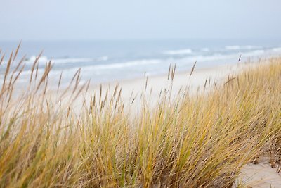 Urlaubsparadies