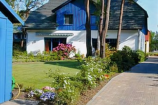 Ferienhaus 4 Bäume DIREKT