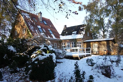 Ferienhaus am Schaalsee