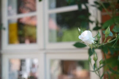 Ferienhaus am Schaalsee