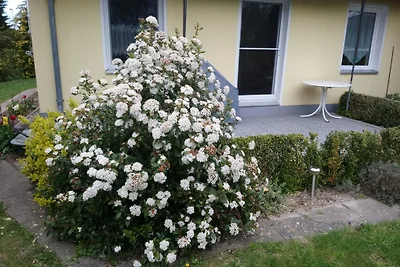 Casa di vacanza Achteraus