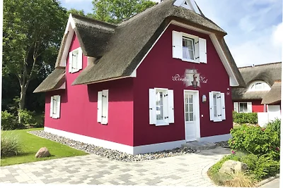 Vakantiehuis Piratennest