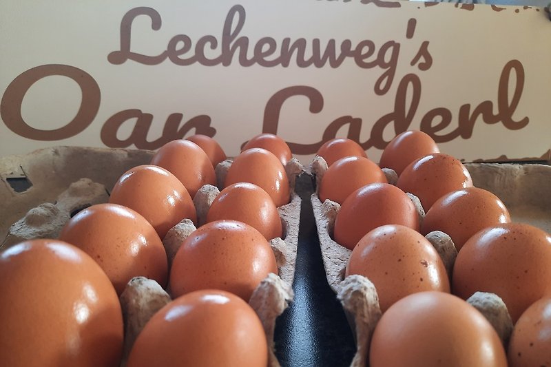 In unserem Hofeigenem Oarladerl (Eierladen) erhältlich
Immer frische Eier.