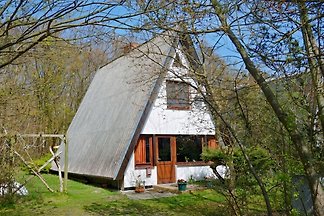 Ferienhaus Grünbaum Ahrenshoop