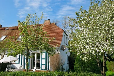 Altes Seefahrtschulhaus Grünbaum