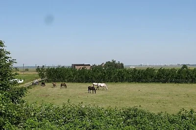Altes Seefahrtschulhaus Grünbaum