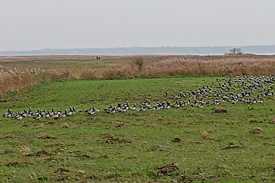 Oud zeemansschoolgebouw Grünbaum