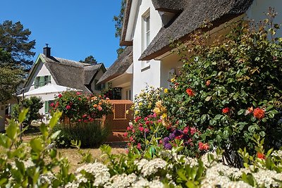 Casa Antje Am Dünenwald