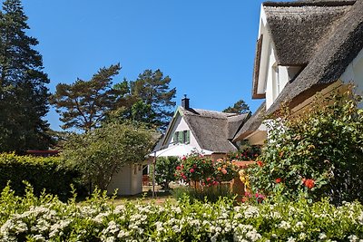 Haus Antje Am Dünenwald