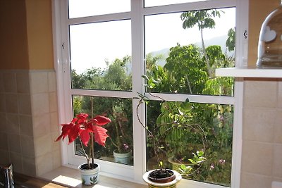 Appartement Centauro