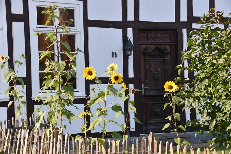 Eingang im Sommer