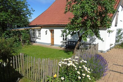Cottage Diemelsee main house