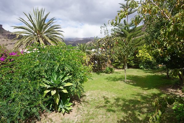 Vakantiehuis Fataga