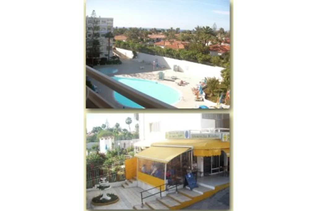 Apartments ALOE in Playa del Ingles from 59  directly from Mr. P.  Schneider rent