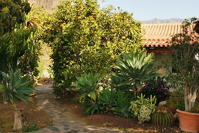 Finca Fataga, Gran Canaria
