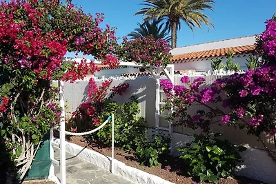 Bungalows ASTRID