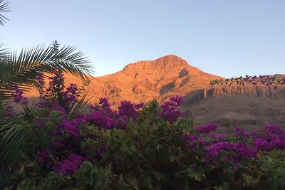 Finca Fataga, Gran Canaria
