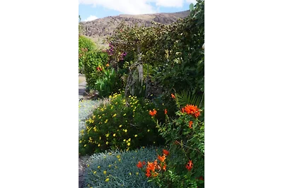 Finca Fataga, Gran Canaria