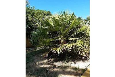 Casa Hedwig