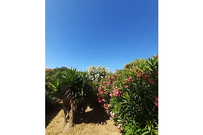 Casa Hedwig