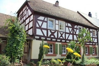 Hostel Glühwürmchen