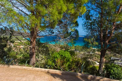 Rue des Roses - Palombaggia