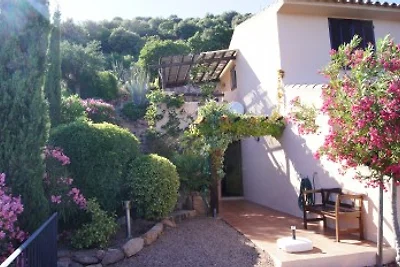 Rue des Roses - Palombaggia