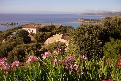 Vacanze in Palombaggia