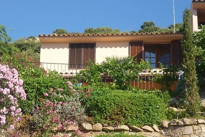 Rue des Roses - Palombaggia