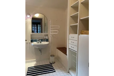 Rue des Roses - Palombaggia