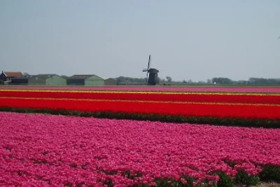 Ferienhaus mit schönem Ambiente