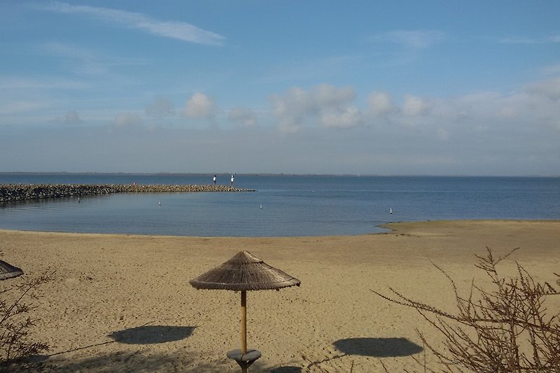 Strand am Grevelingenmeer  100m vom Haus entfernt