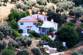 casa con guino