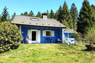 Prachtig Fins huis