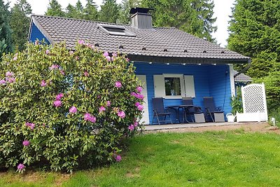 The Forest Hideout/ FinnLand