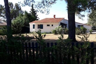 Villa Crinou
