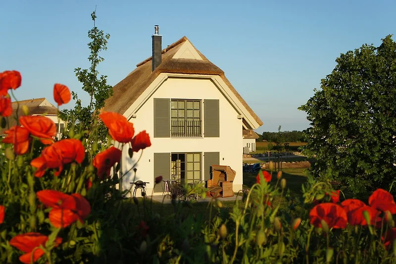 Rieten dak huis