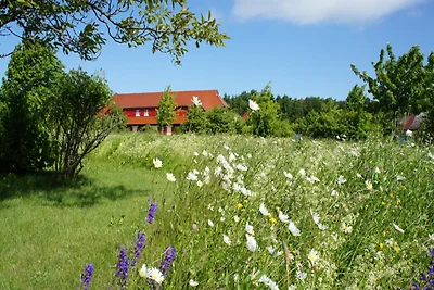 Feriendorf, ca 400m zum Strand