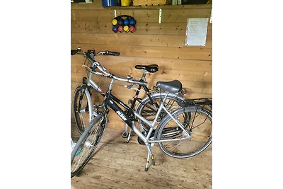 Reetdachhaus in Goos