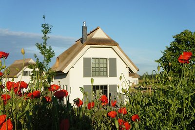 Casa con tetto di paglia di tipo B