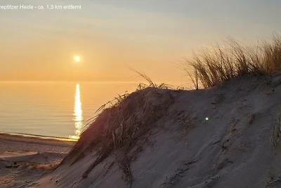 Reetdachhaus in Goos