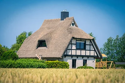 Reetdachhaus in Dranske