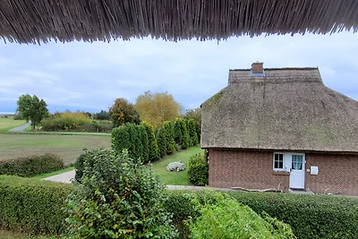 Reetdachhaus in Goos