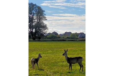 Reetdachhaus in Goos
