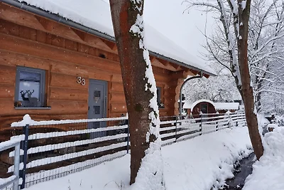 Bergchalet 2